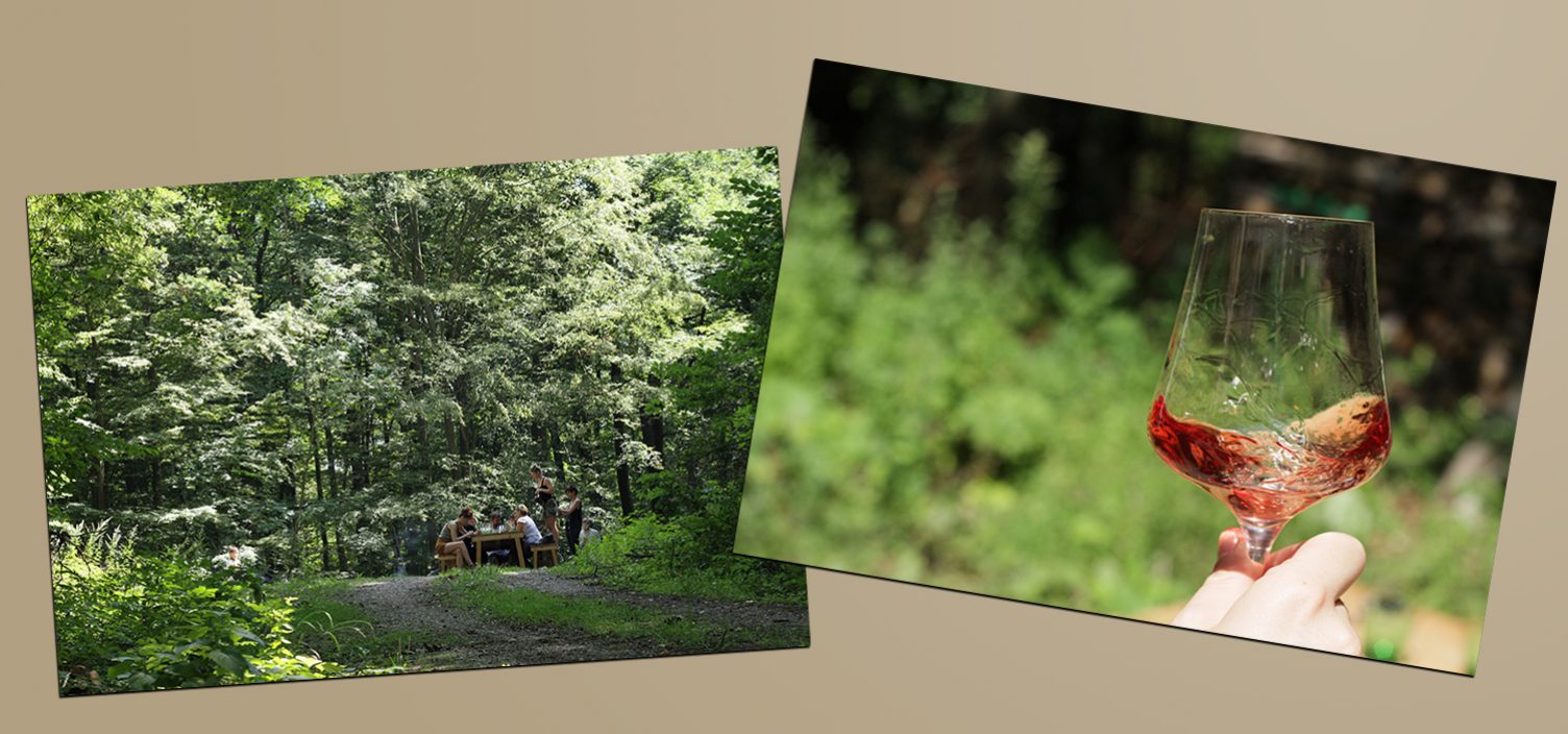 Zwei Aufnahmen: Links Wald, rechts Hand mit Weinglas mit Wiesenhintergrund.