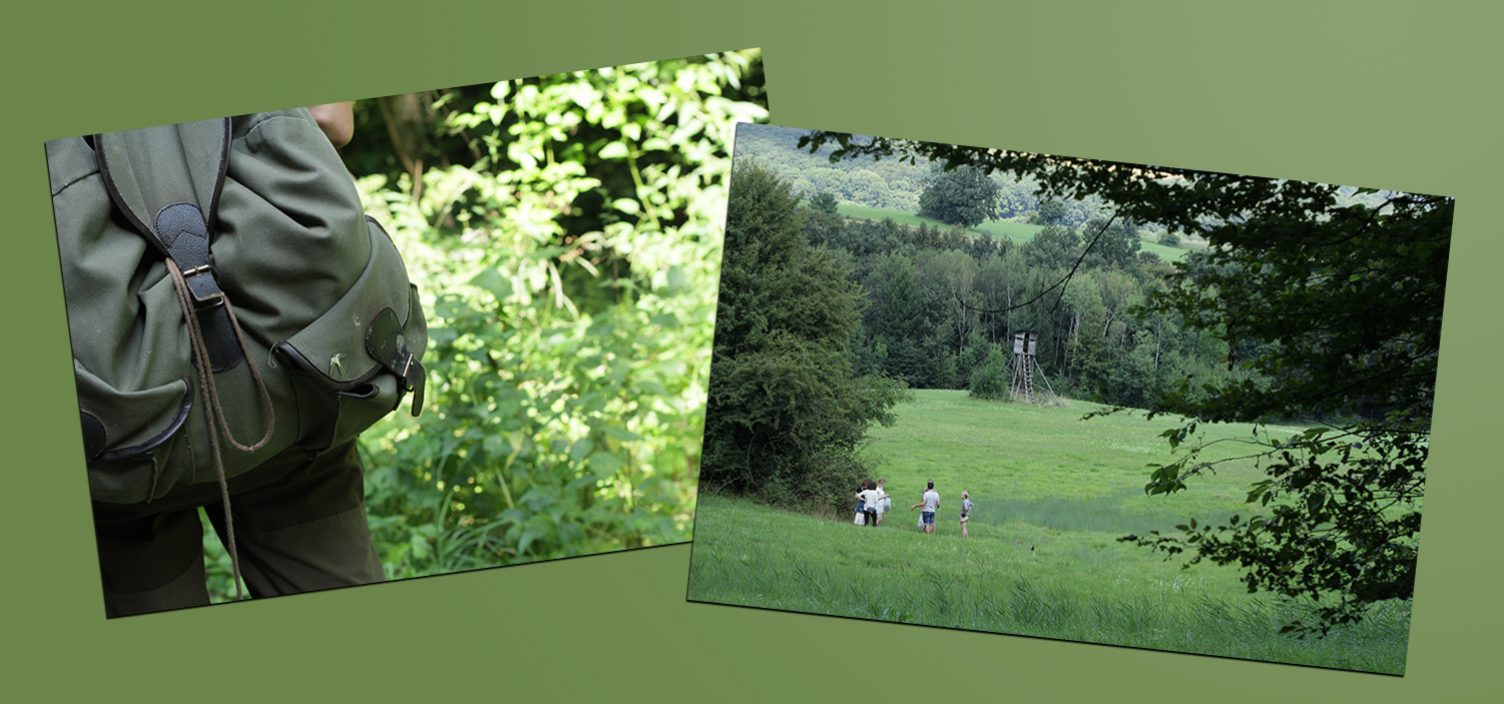Zwei Aufnahmen: Links Großaufnahme von Person mit grünem Rucksack im Wald, rechts Wald und Wiesenaufnahme.